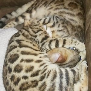 Meet your Posher, Jeffrey